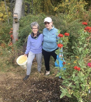 Joan Van Hulzen and Twila Finkelstein are looking forward to next spring when the milkweed seeds they planted will turn into strong plants and Monarch butterfly magnets.