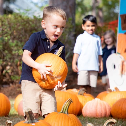 Students from Maclay search for the best pumpkin a