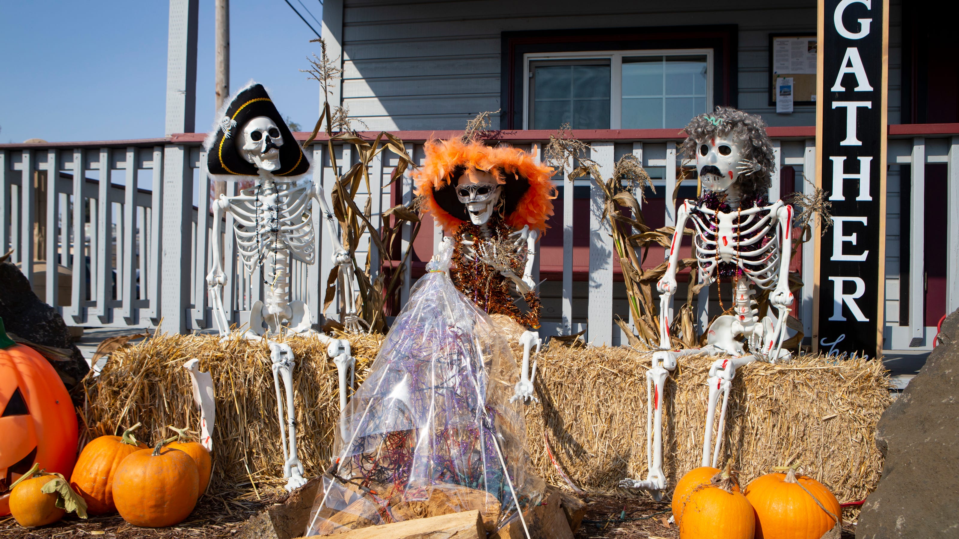 Eugene Halloween parties, costumes, treats, haunted houses