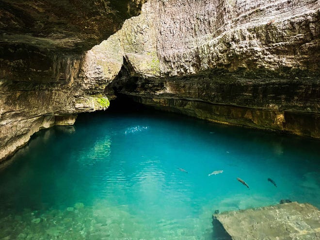 A diver drowned Friday while exploring about 190 feet below the surface at Roaring River spring, the Missouri State Highway Patrol reported.