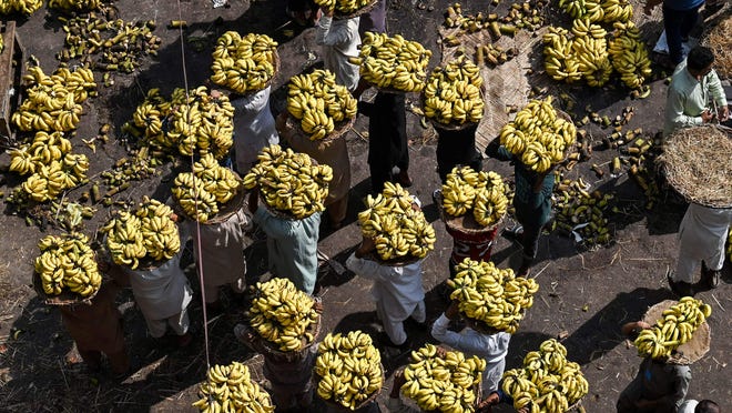 Nakia Creek Hearth in Washington state forces hundreds of evacuations Nakia Creek Hearth in Washington state forces hundreds of evacuations