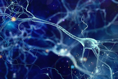 Les scientifiques utilisent des cellules cérébrales d'origine humaine pour développer des modèles plus réalistes de la maladie d'Alzheimer.