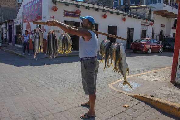 With no large all-inclusive resorts, life in San Blas remains quaint and unrushed. Authentic encounters with locals are everyday occurrences in the sleepy Pacific port. All in a day&#39;s work, a fishmonger walks around the town square selling his fresh catch.