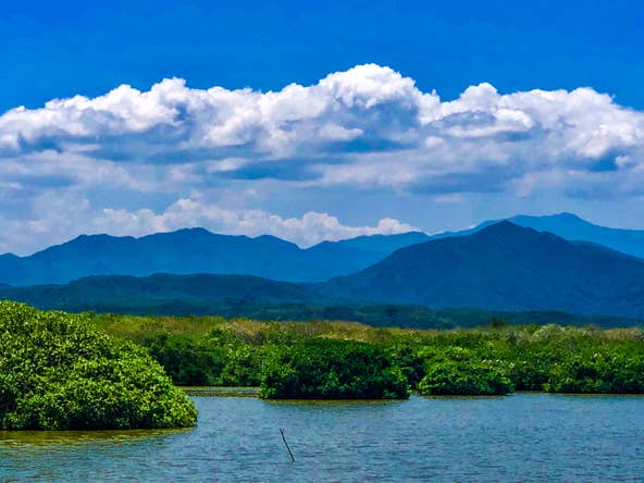 The sea flanks San Blas to the west, the Sierra Madre range to the east. Jaguars and other big cats roam freely in the hidden deep forest of the elevated terrain. Coffee plantations, waterfalls, fields of mango trees and other fruit orchards can be found along scenic drives.