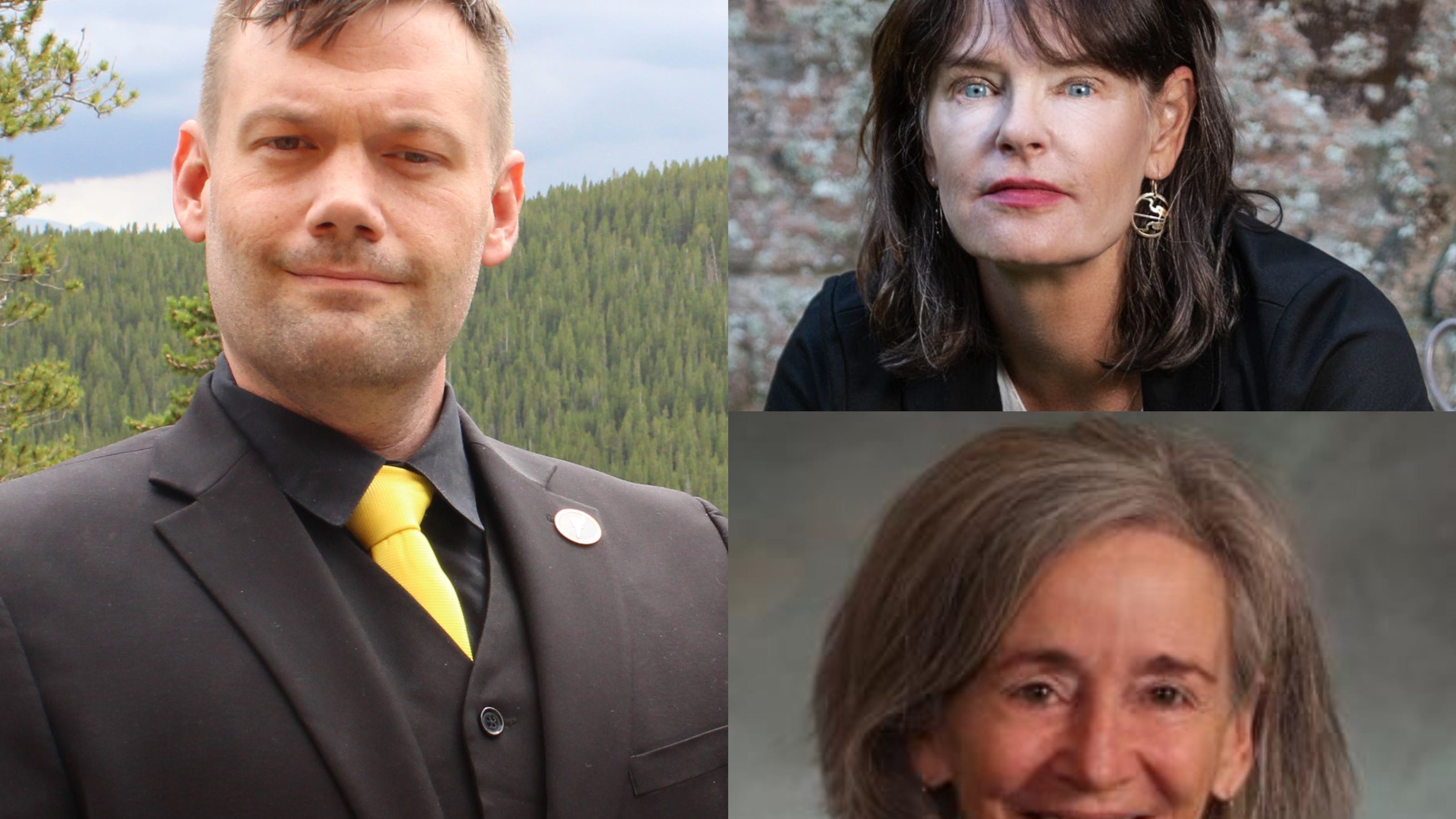 Colorado House District 49 election: Mental health, drug issues dominate