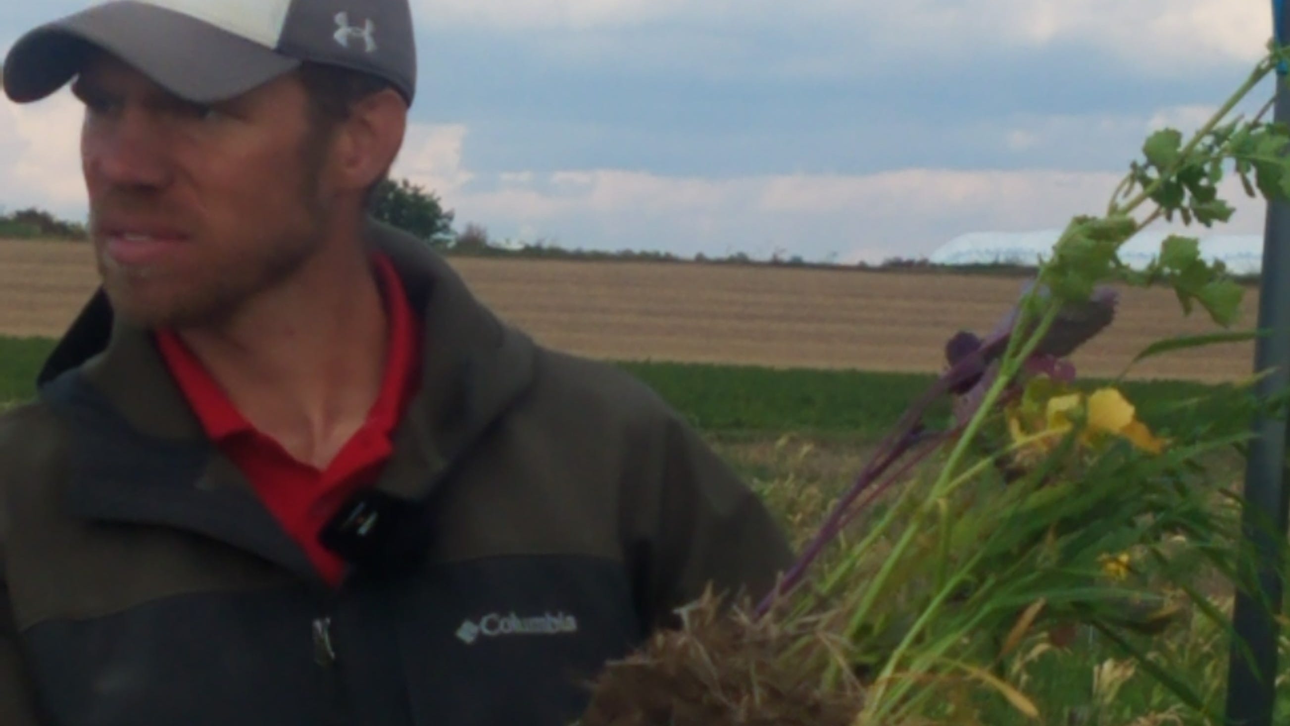 Challenges and benefits of cover crops vary from year to year