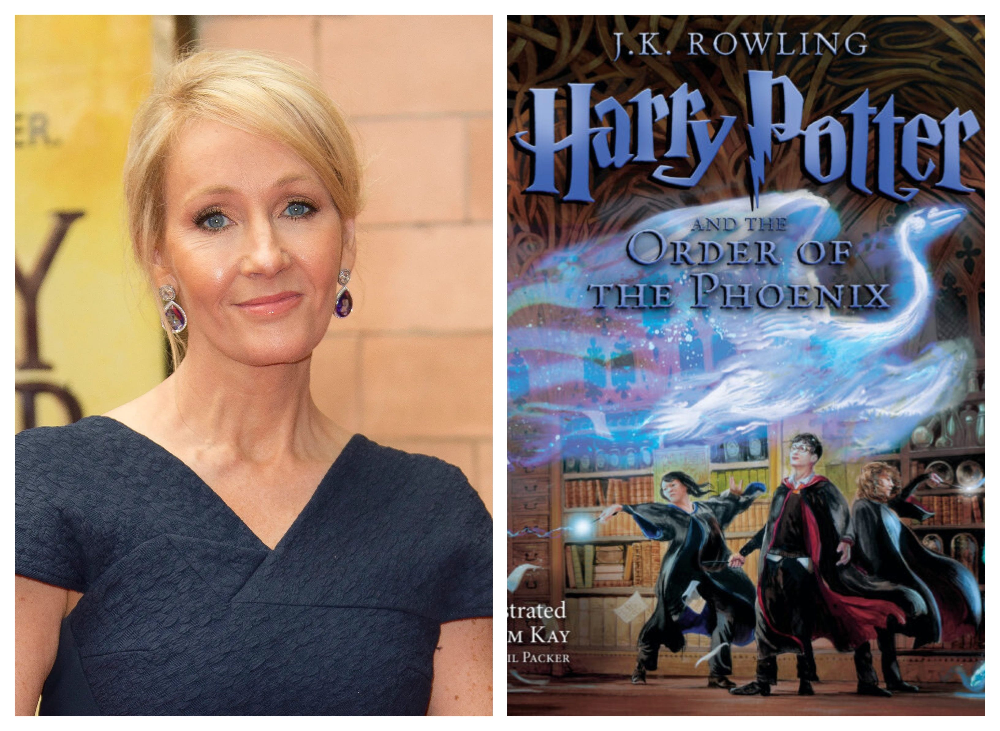 harry potter novel written by