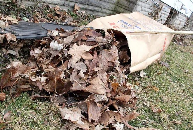 Jonesville residents should adhere to the city's yard waste collection guidelines and separate larger debris from leaves.