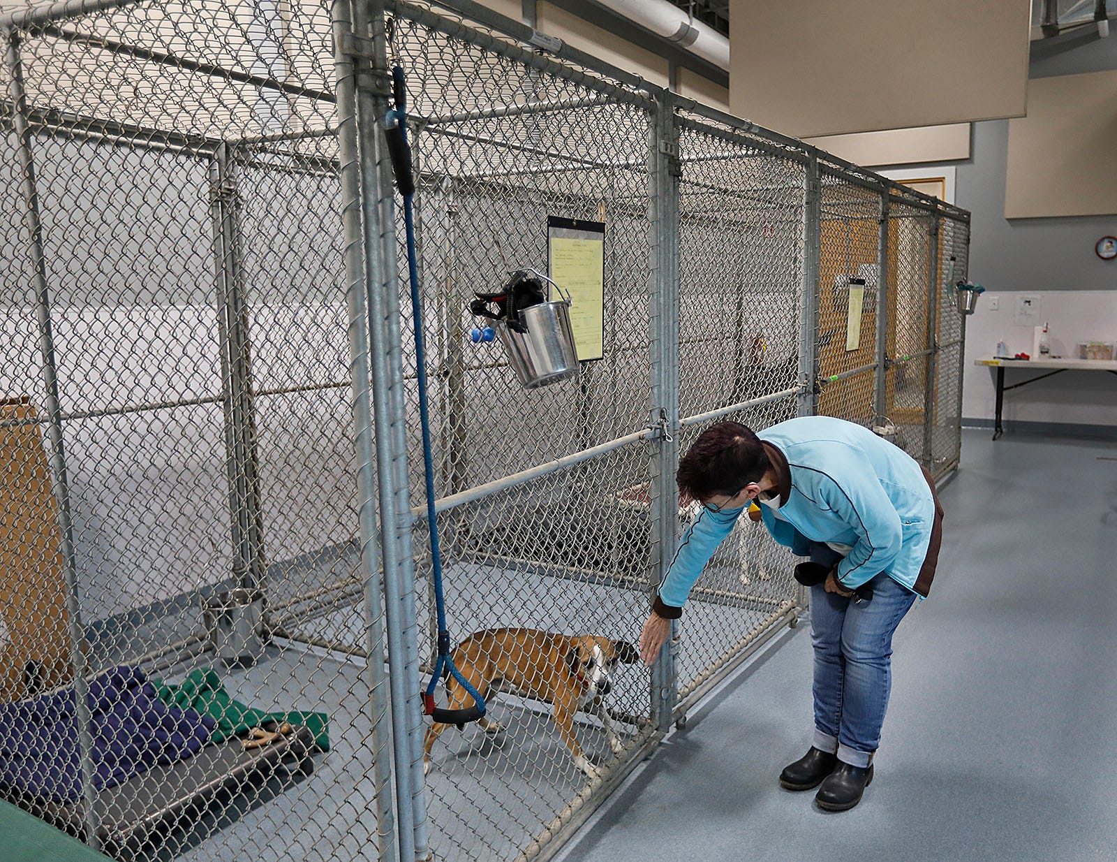 Quincy animal shelter settles into temporary home, awaits new buildng