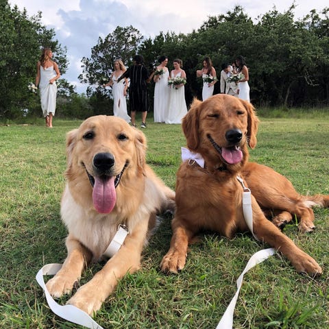 Butters and Ellie did everything with Jordi Booher