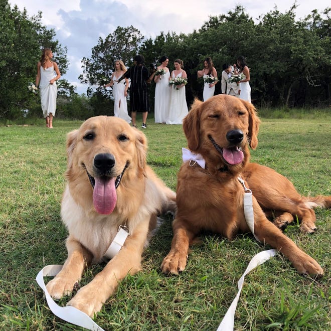 Butters and Ellie did everything with Jordi Boohers. But when it came time to be in Boohers' wedding, a pet coordinator stepped in.