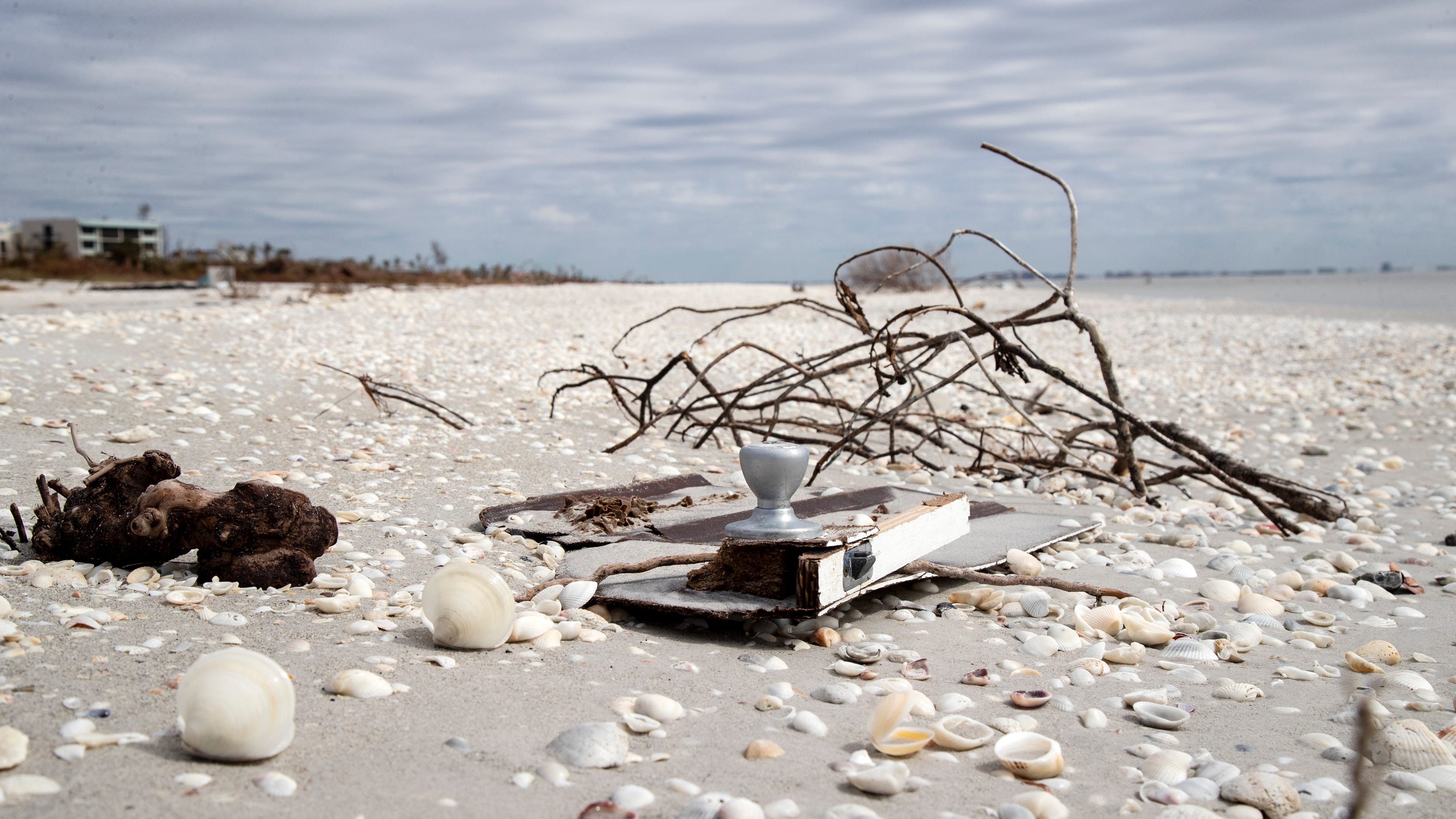 Florida Seashell Capital may see more shells, less wildlife after Ian