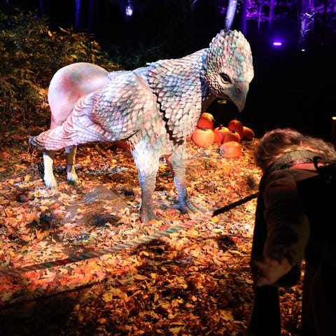 Buckbeak the Hippogriff during an "inside look" at