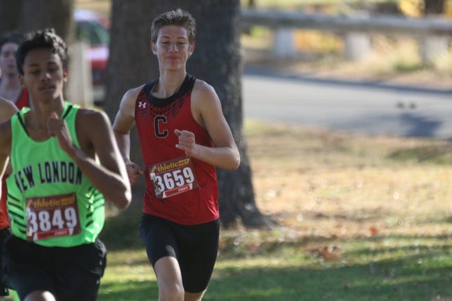 Crestview's Cooper Brockway is headed to the state cross country meet for the first time in his career.