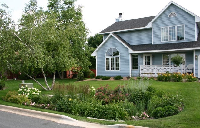 A lush rain garden provides beauty and function.