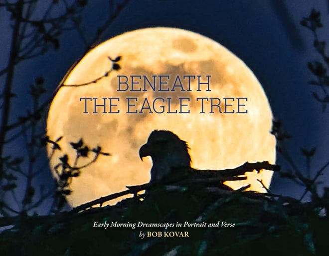 The cover of "Beneath the Eagle Tree."