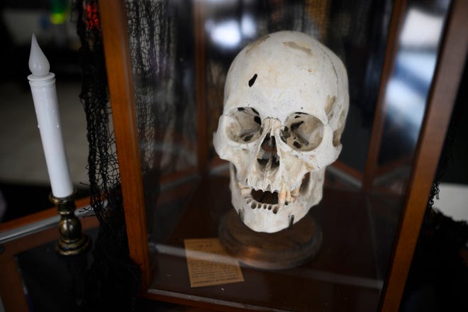 Tengkorak manusia asli di Michigan Museum of Horror di Monroe, Kamis, 27 Oktober 2022. 
