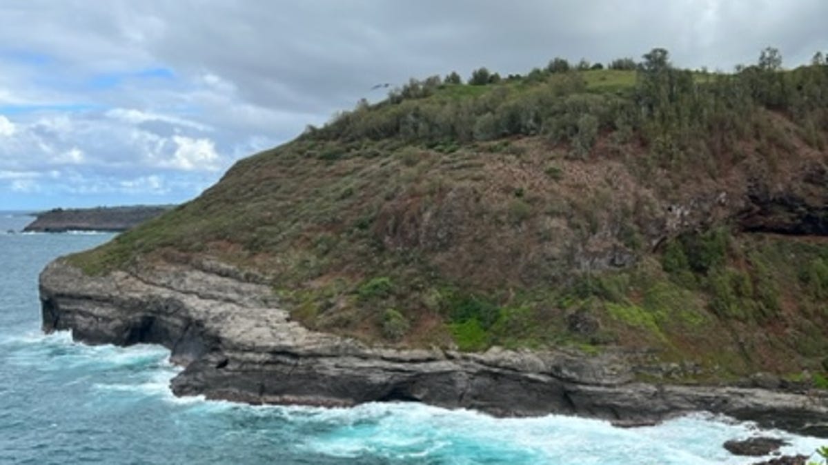 Seabirds dot the rocky cliffside near Kilauea Point National Wildlife Refuge.