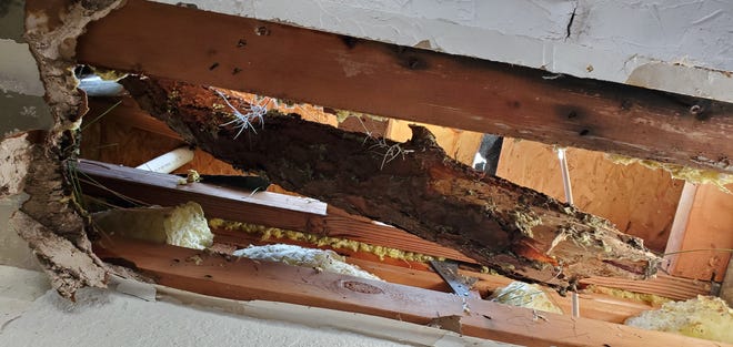 A tree limb broke through Cassie King's ceiling at her home in North Port, causing water to invade. It was one of four branches to damage the roof, she said.