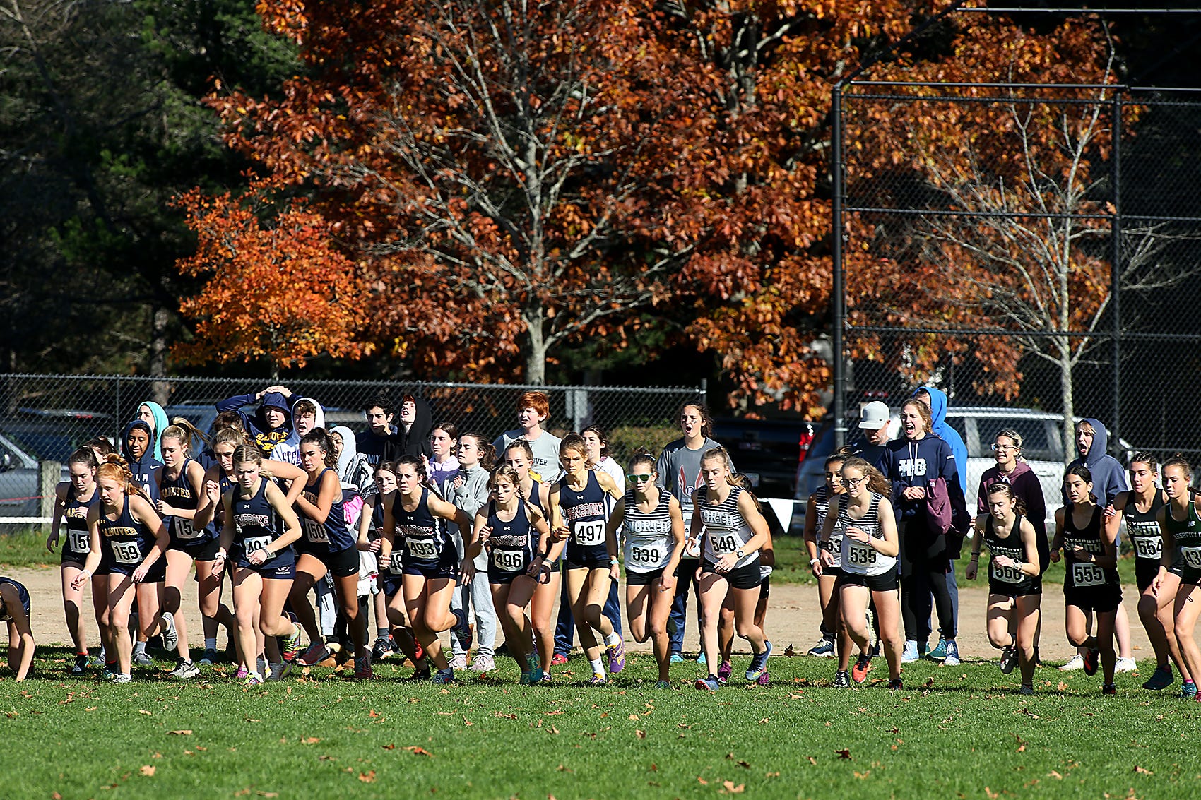 Local runners ready to shine at MIAA cross country state championships