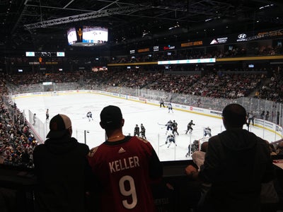 NHL expansion fees could save Arizona Coyotes from relocation