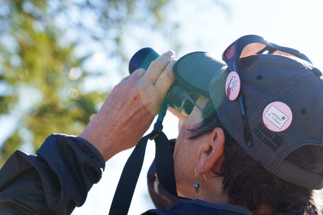 Kathleen Dubbs wears "vote" pins on her Clean Elections hat while birding with the Tucson Audubon Society at Reid Park in Tucson on Oct. 29, 2022. Afterwards, the Audubon Society will canvass for the Environmental Voter Project, encouraging environmentally-focused citizens to vote.