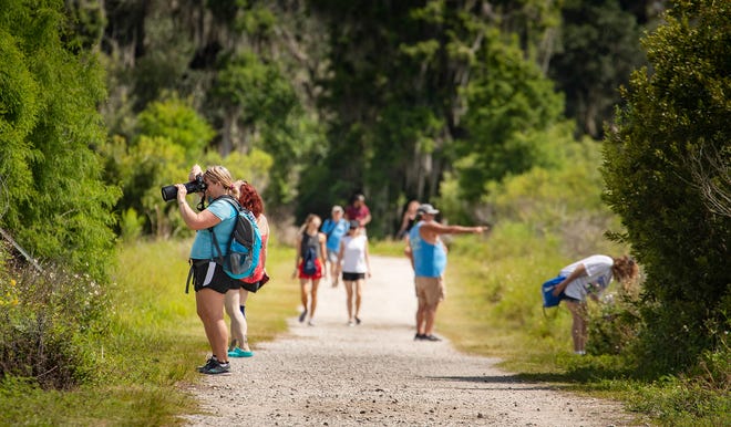 Circle B Bar Reserve reopened Monday after being closed because of flooding and damage caused by Hurricane Ian. Circle B is a popular destination for birdwatchers and other nature enthusiasts, as seen in this photo from 2020.