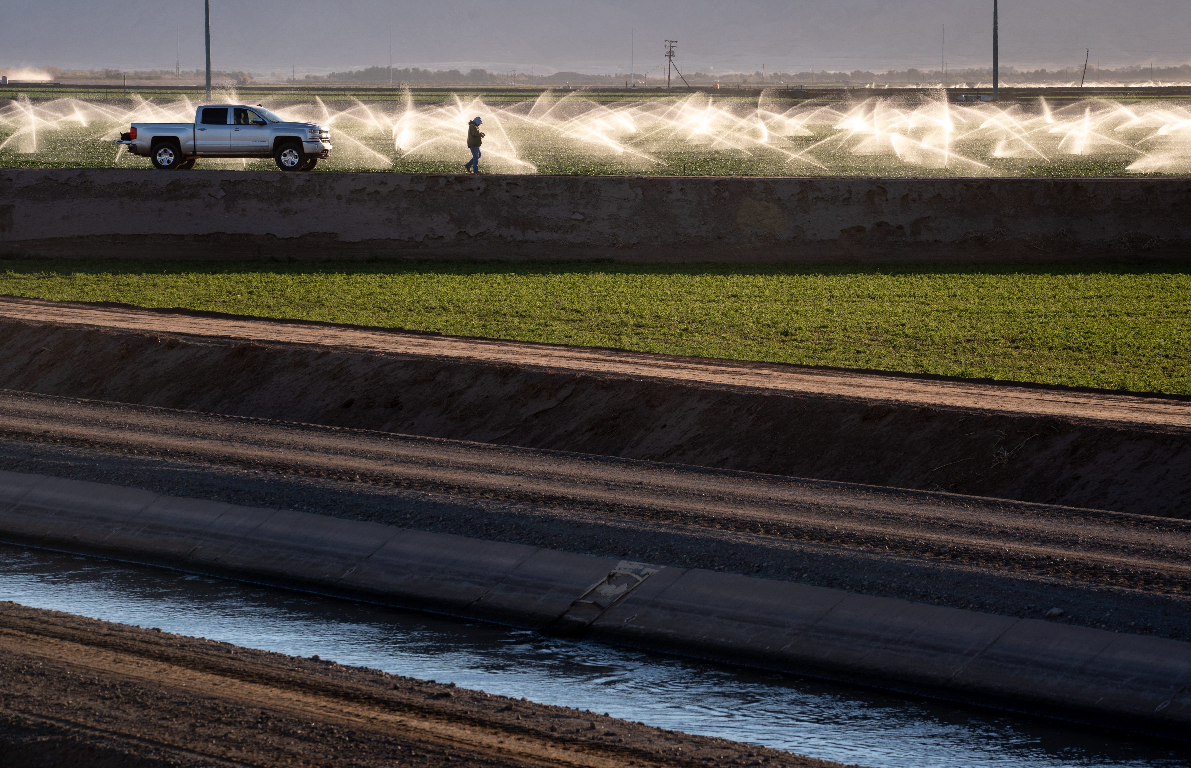 A farm worker irrigates a lettuce field east of Yuma on Jan. 28, 2022. Arizona farmers who take water directly from the Lower Colorado River have among the most secure rights to its water, but now risk losing the river’s flow if Lake Mead continues its decline.