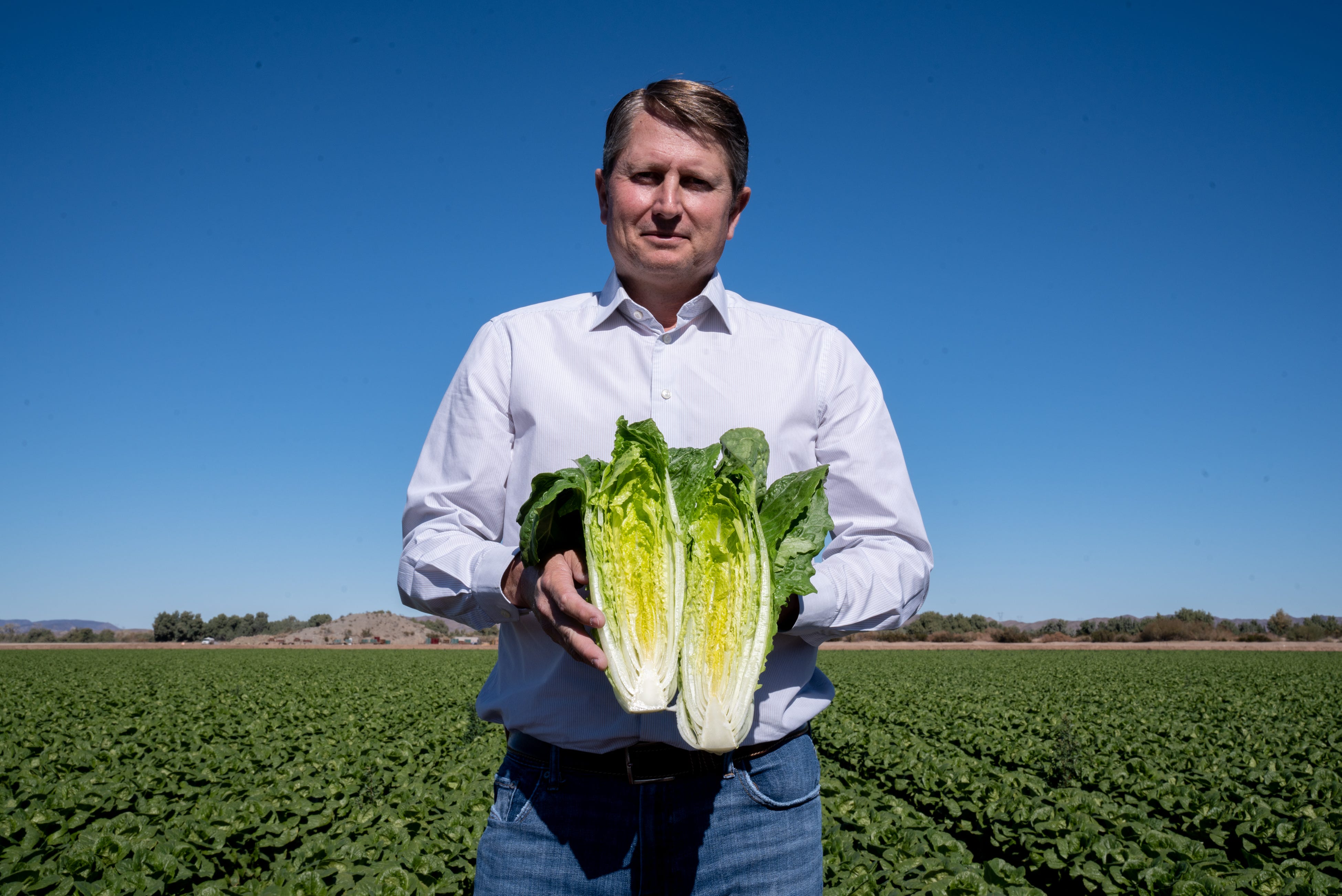 Arizona farmer John Boelts, wearing a light button up shirt and blue jeans, hold a head of lettuce while standing in front of a lettuce field. The sky is clear blue above him.