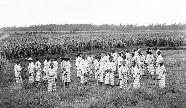 Prisoners from a chain gang work in an unidentified field in 1903.