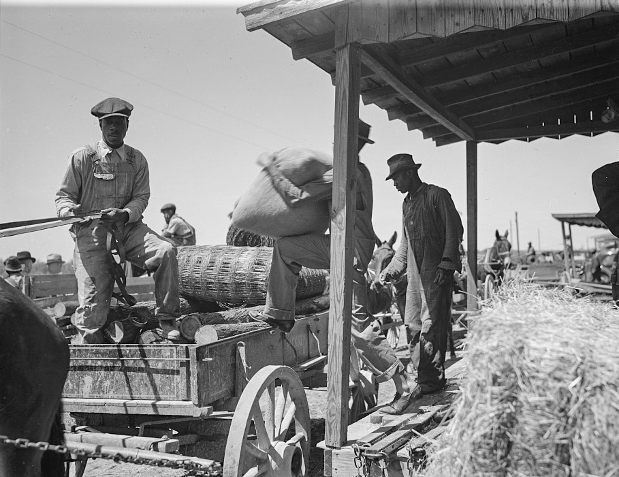 Farmers getting cotton seed and other supplies which they are buying cooperatively at Roanoke Farms, N.C. in 1938. Part of the U.S. Farm Security Administration/Office of War Information Black & White Photographs at the Library of Congress.