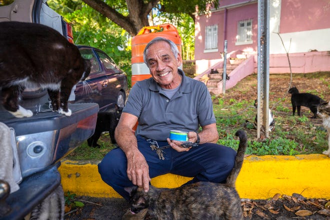 Alfonso Ocasio smiles as he feeds a colony of stray cats in Old San Juan, Puerto Rico, Wednesday, Nov. 2, 2022. Ocasio, an animal lover who spends up to $15 a week feeding cats, said he adopts those who are sick and elderly, caring for them in their last days.