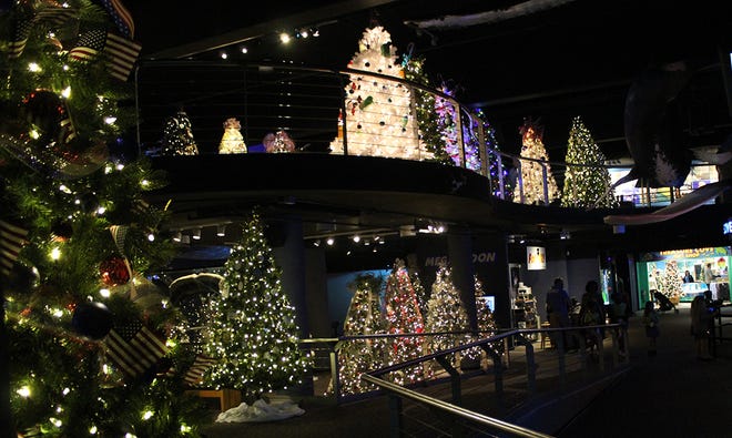 The Cape Fear Festival of Trees will be held Nov. 18-Jan. 2, 2023 at the N.C. Aquariumn at Fort Fisher.