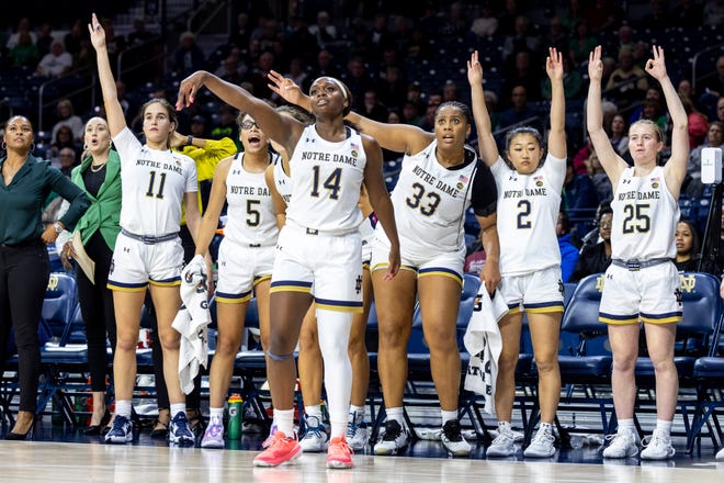 The Notre Dame bench reacts to a three point shot by guard KK Bransford (14) during the Northern Illinois-Notre Dame NCAA Women’s basketball game on Tuesday, November 07, 2022, at Purcell Pavilion in South Bend, Indiana.