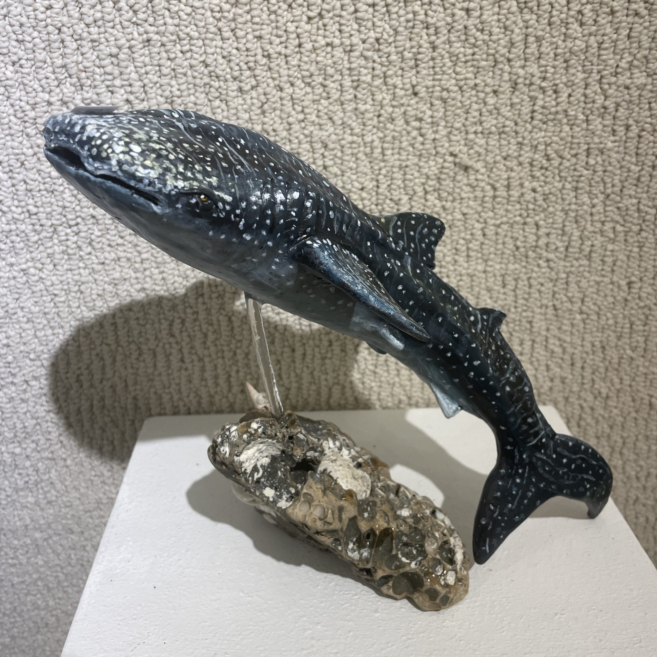 Things to do in St. Augustine Lincolnville Festival, Bonnie Raitt