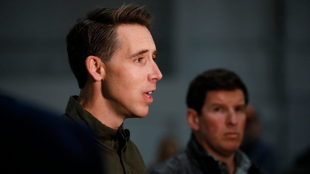 Hawley proposes bill making AI companies liable for harmful content