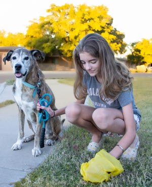 Mia looks on as her human, Ella Rowan, cleans up after her during an afternoon walk.
