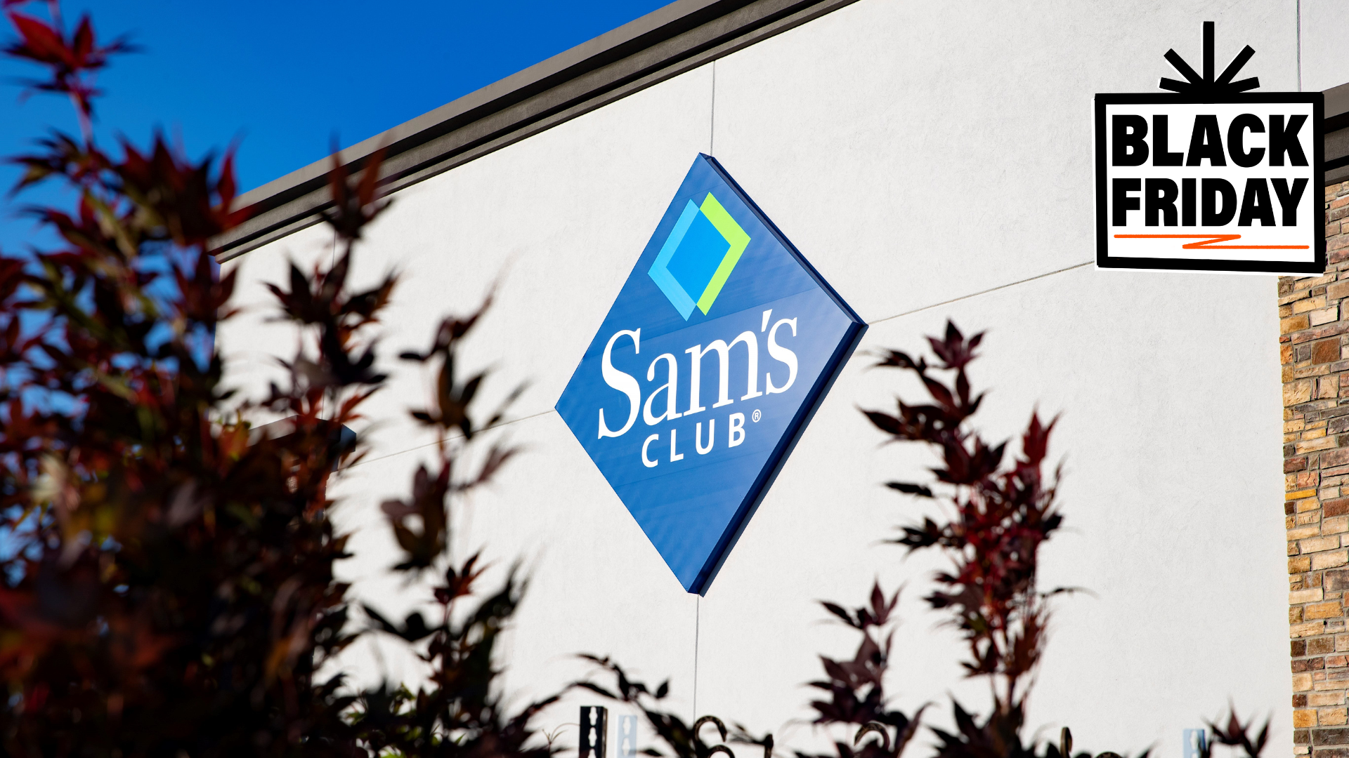 Sam's Club Black Friday deal: 50% off memberships today