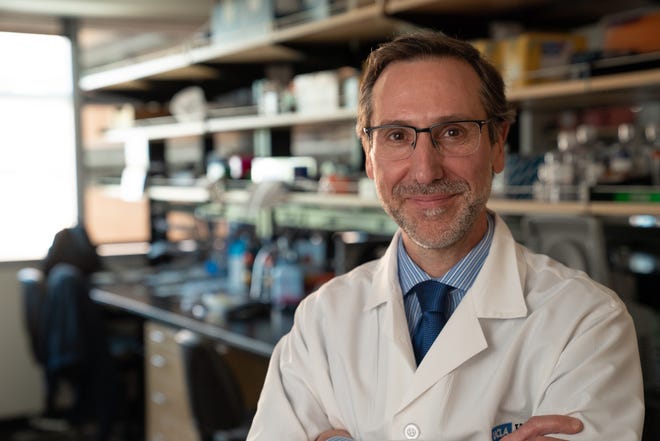dr. AS Antoni Ribas van het UCLA Jonsson Comprehensive Cancer Center