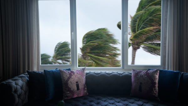 Indoor view of close up window and waving palm tre