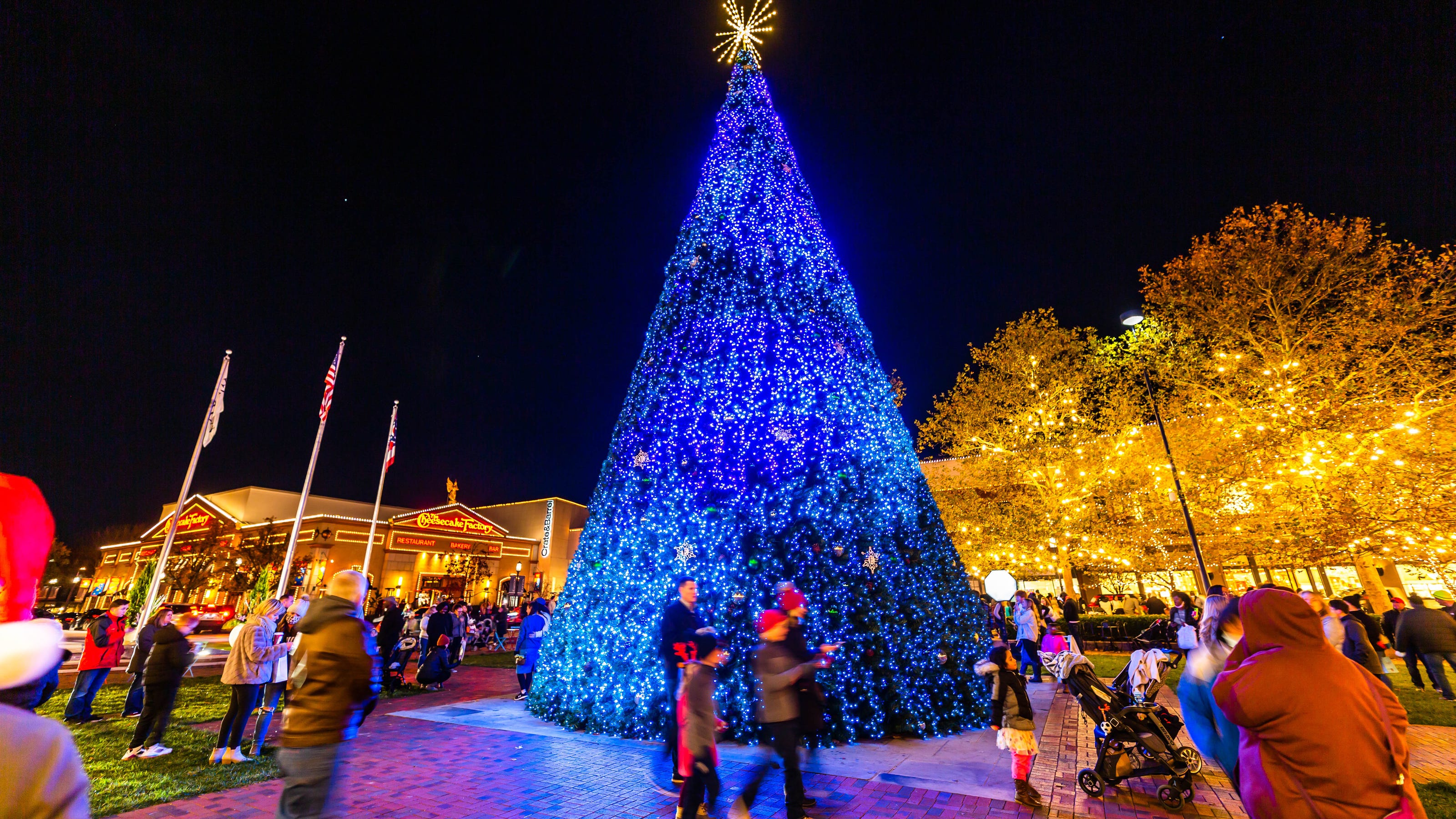 Tree lightings and holiday festivities in Greater Columbus