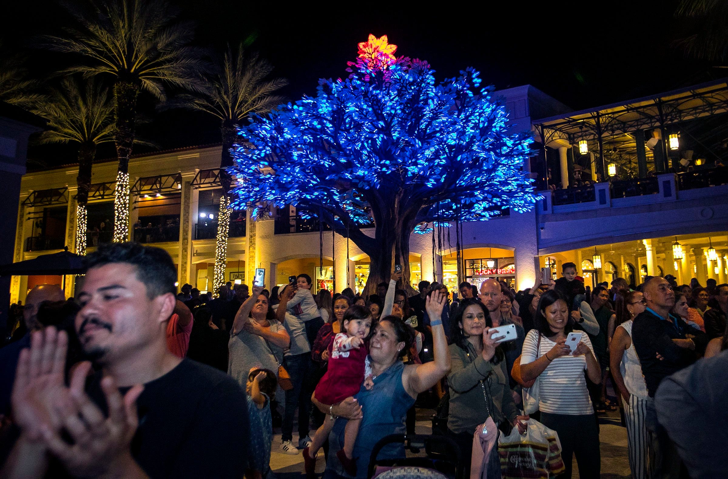 Best Christmas events, lights in Palm Beach County, West Palm, Boca