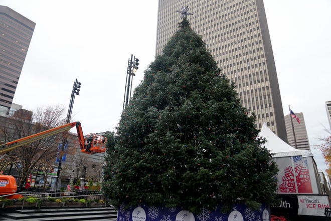 The city of Cincinnati’s Christmas Tree stands at Fifth and Vine streets, Friday, Nov. 11, 2022, at Fountain Square in Downtown Cincinnati. The tree comes from the Frontz family in Wayne County.