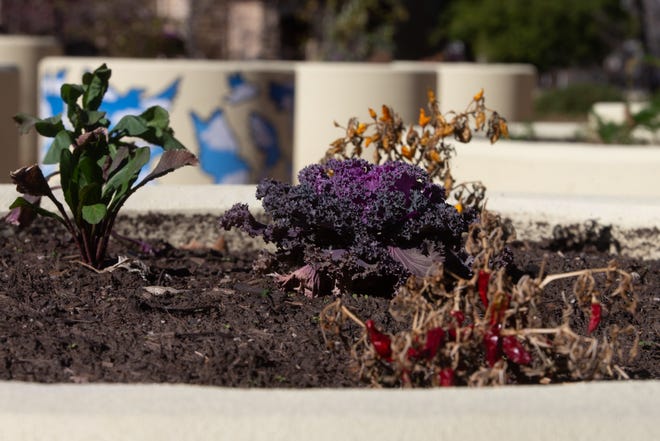 Bethany Home and Backyard welcomes Topekans for gardening, meditation Bethany Home and Backyard welcomes Topekans for gardening, meditation