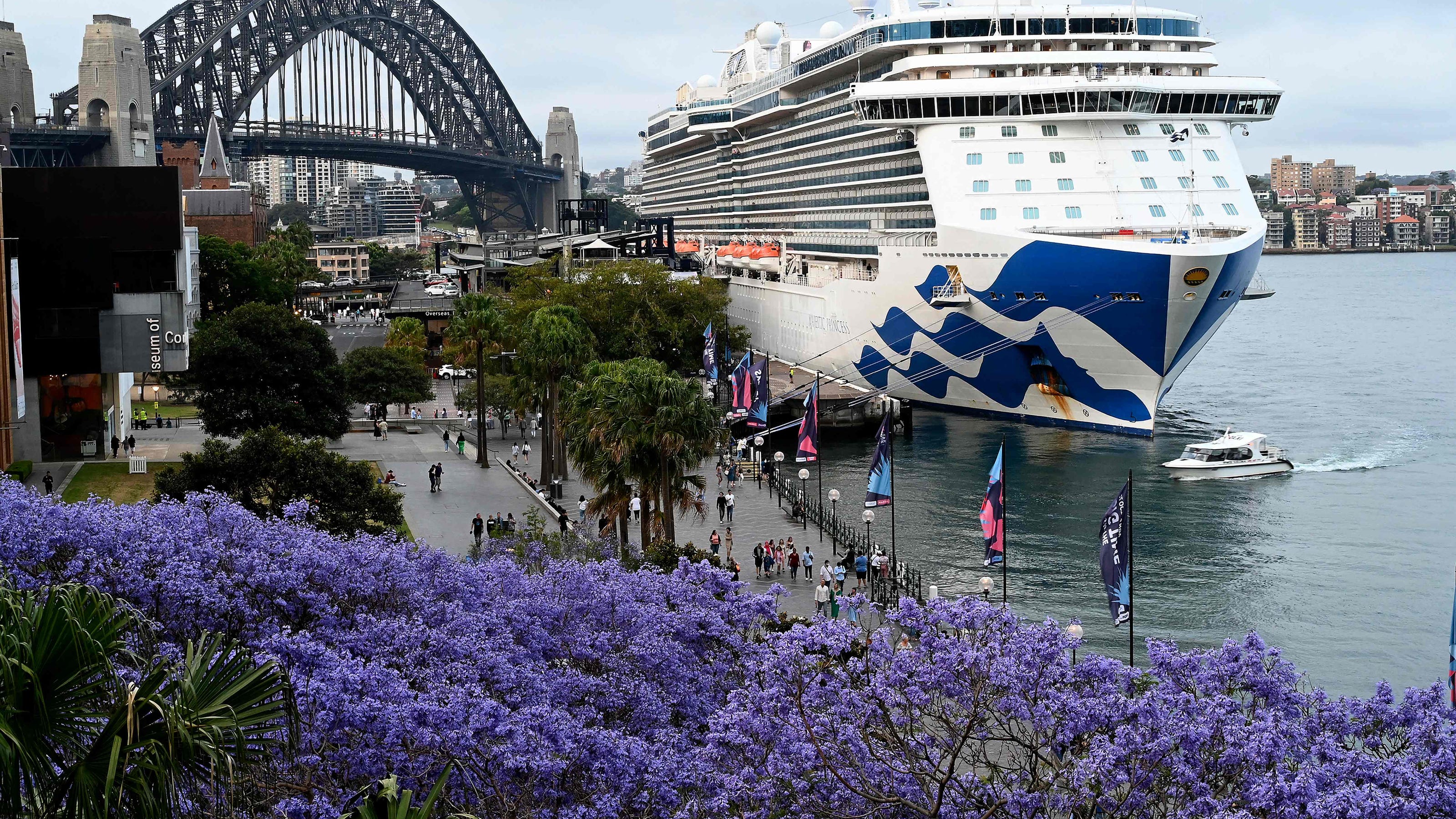 cruise ship docks in sydney with 800 covid