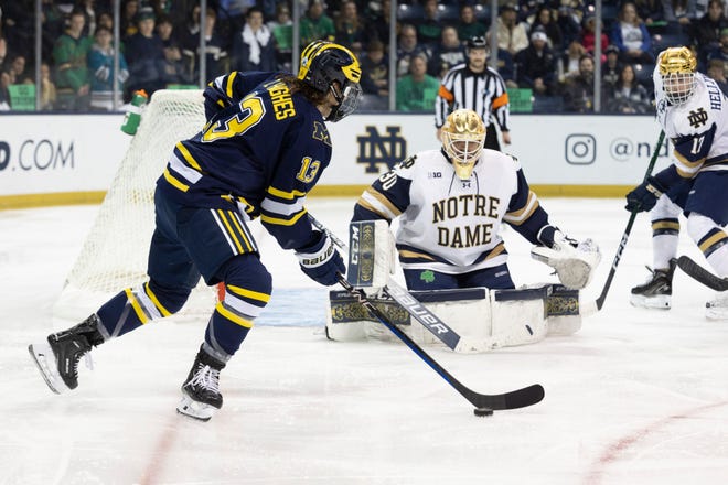 Notre Dame goaltender Ryan Bischel, shown earlier this month at Compton Family Ice Arena, made 37 saves Saturday night against Ohio State. (Photo: John Mersits, South Bend Tribune)