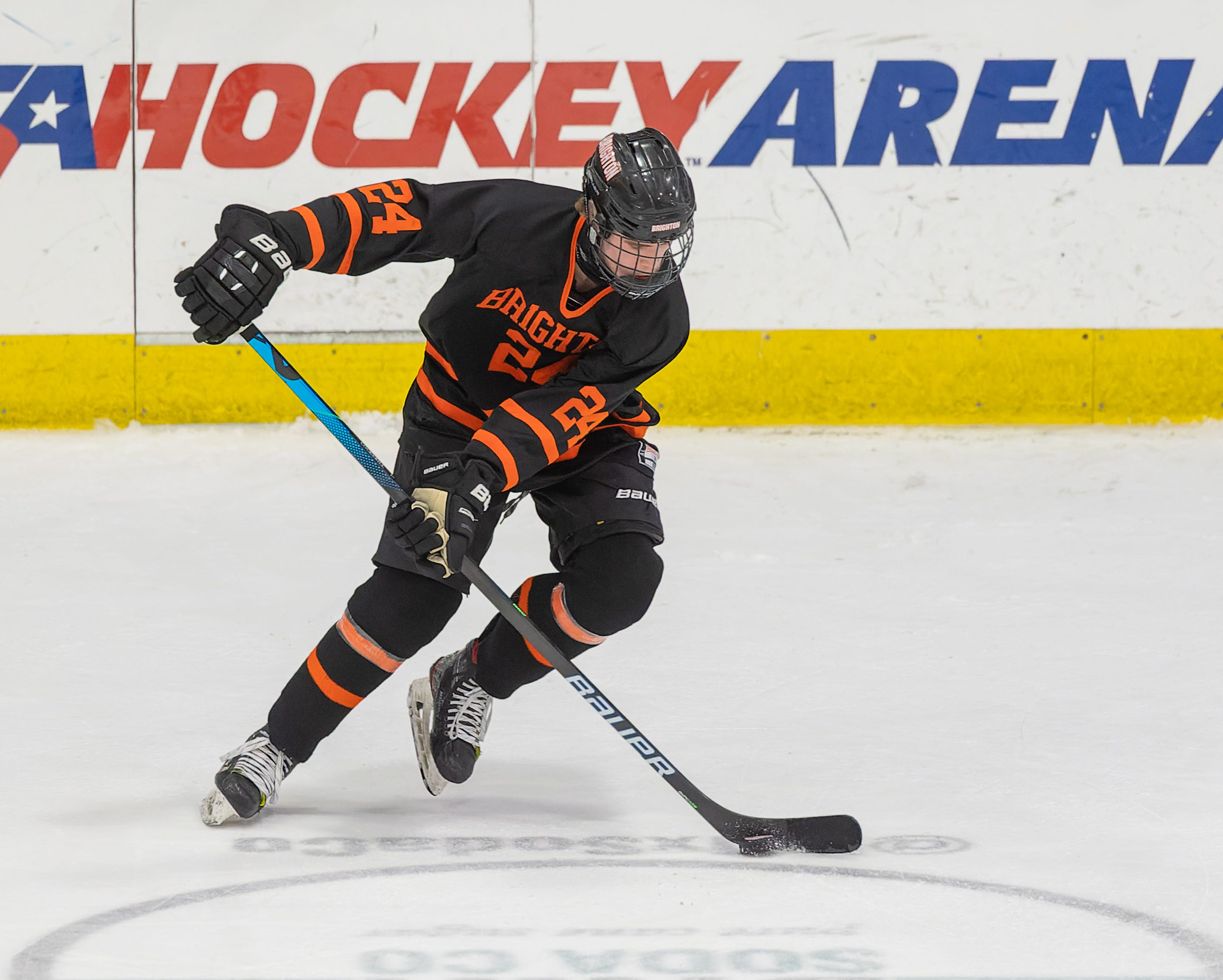 Top 5 high school hockey players in Livingston County