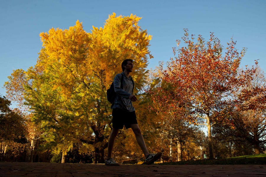 Students walk past fall foliage at the University of Virginia in Charlottesville, Virginia, on November 7, 2022.