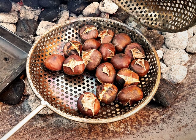 Roasted chestnuts are a Christmas favorite, and a tradition for the museum staff and community. The nuts are scored and carefully roasted, bringing out the soft, sweet flavor. Roasting demonstrations begin tonight.