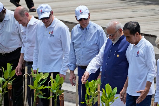 German Chancellor Olaf Scholz, left, Australian Prime Minister Anthony Albanese, President Joe Biden, Indian Prime Minister Narendra Modi and Indonesian President Joko Widodo gather for a mangrove planting event at Ngurah Rai Forest Park on the sidelines of the G-20 summit in Bali, Indonesia.